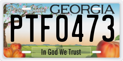 GA license plate PTF0473