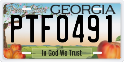 GA license plate PTF0491