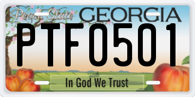 GA license plate PTF0501