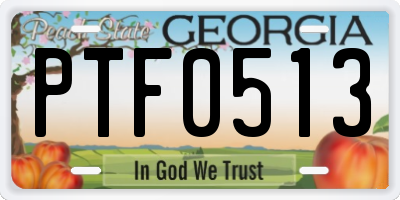 GA license plate PTF0513