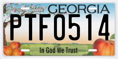 GA license plate PTF0514