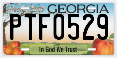 GA license plate PTF0529