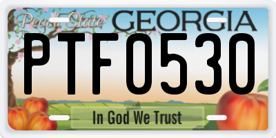 GA license plate PTF0530