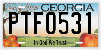 GA license plate PTF0531