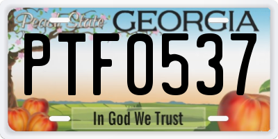 GA license plate PTF0537
