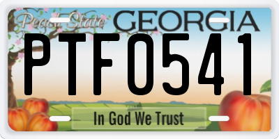 GA license plate PTF0541
