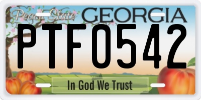 GA license plate PTF0542