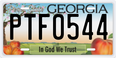 GA license plate PTF0544