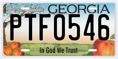 GA license plate PTF0546