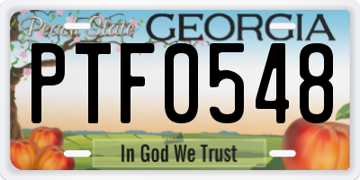 GA license plate PTF0548
