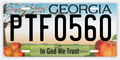 GA license plate PTF0560