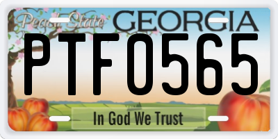 GA license plate PTF0565