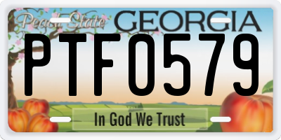 GA license plate PTF0579