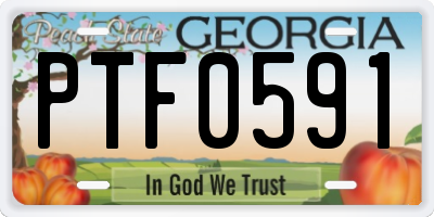 GA license plate PTF0591