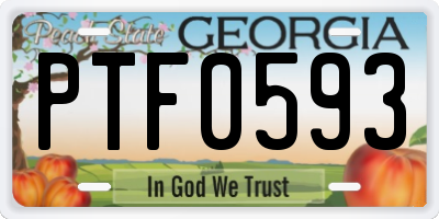 GA license plate PTF0593