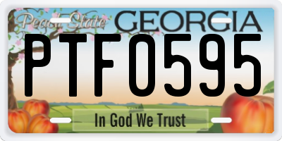 GA license plate PTF0595
