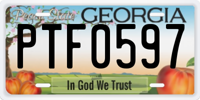 GA license plate PTF0597