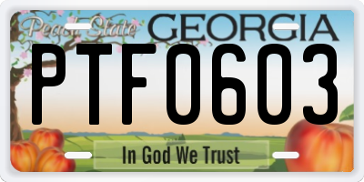 GA license plate PTF0603