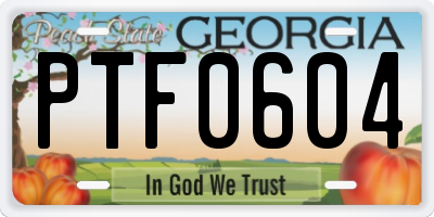 GA license plate PTF0604