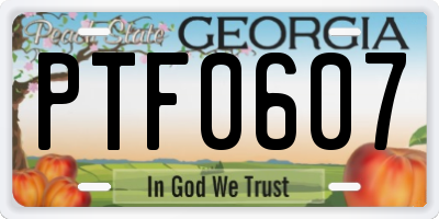 GA license plate PTF0607