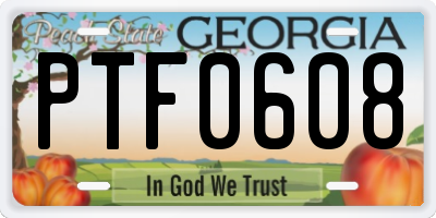 GA license plate PTF0608