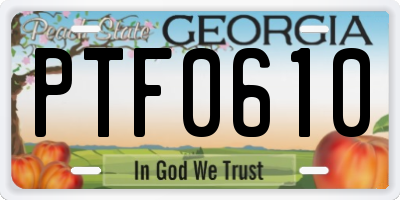 GA license plate PTF0610