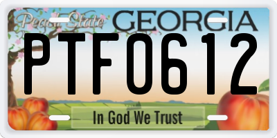 GA license plate PTF0612