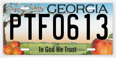 GA license plate PTF0613
