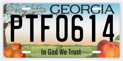 GA license plate PTF0614