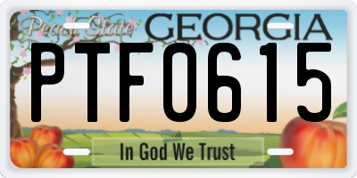 GA license plate PTF0615