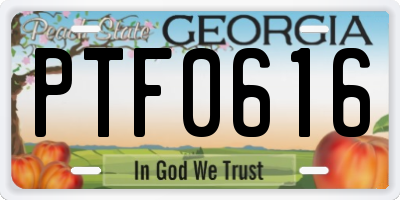 GA license plate PTF0616