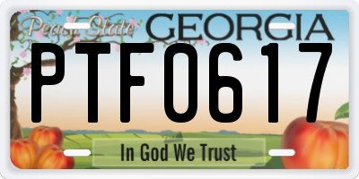 GA license plate PTF0617
