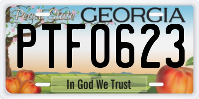 GA license plate PTF0623