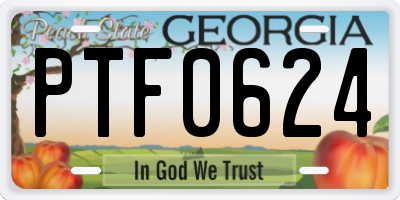 GA license plate PTF0624