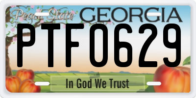 GA license plate PTF0629
