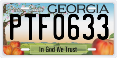 GA license plate PTF0633