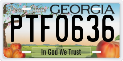 GA license plate PTF0636