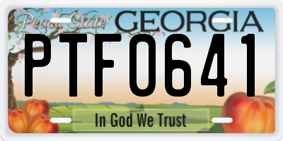 GA license plate PTF0641