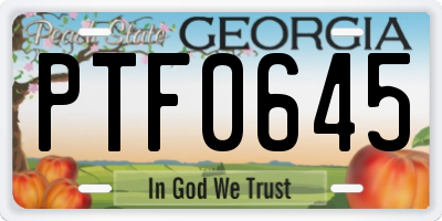 GA license plate PTF0645