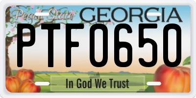 GA license plate PTF0650