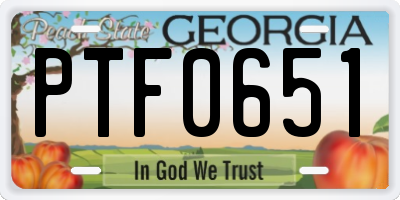 GA license plate PTF0651