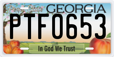 GA license plate PTF0653