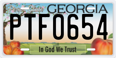 GA license plate PTF0654