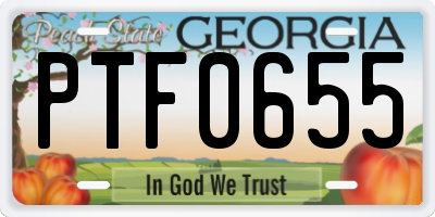 GA license plate PTF0655