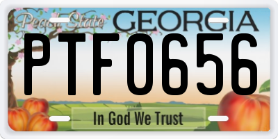GA license plate PTF0656