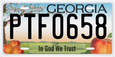 GA license plate PTF0658