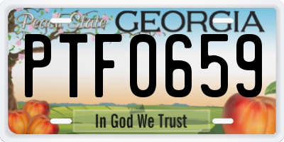 GA license plate PTF0659