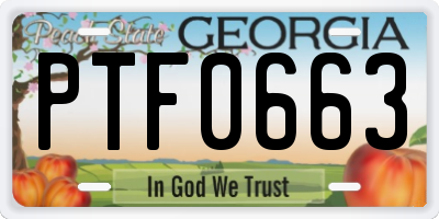 GA license plate PTF0663