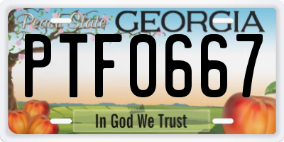 GA license plate PTF0667