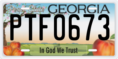 GA license plate PTF0673